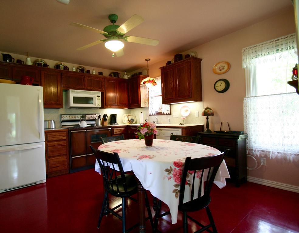 Onion Creek Cottage Austin Ngoại thất bức ảnh
