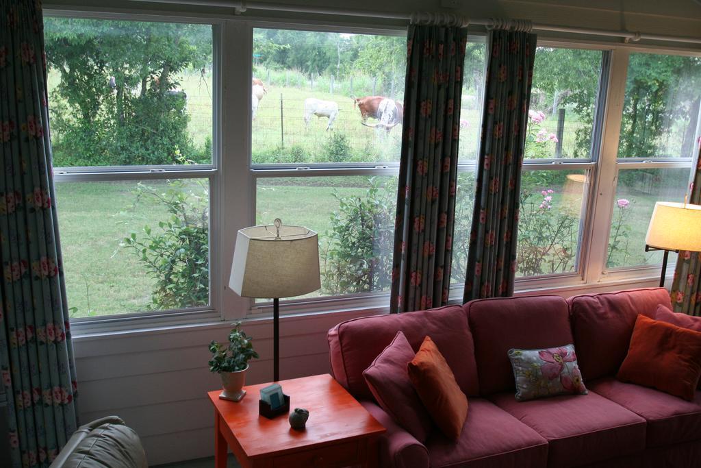 Onion Creek Cottage Austin Ngoại thất bức ảnh