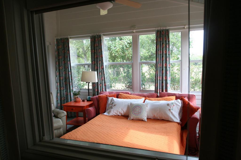 Onion Creek Cottage Austin Ngoại thất bức ảnh