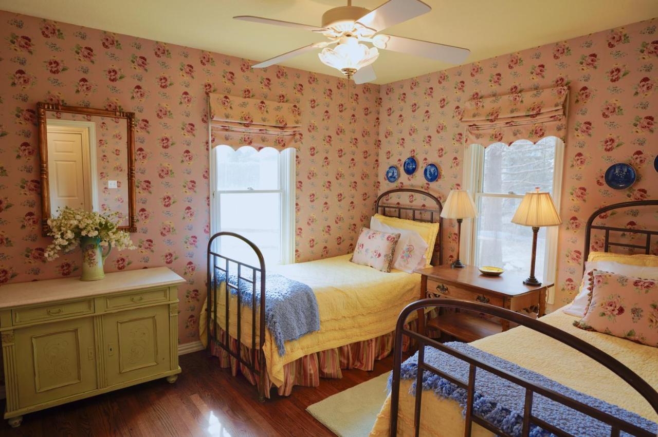 Onion Creek Cottage Austin Ngoại thất bức ảnh